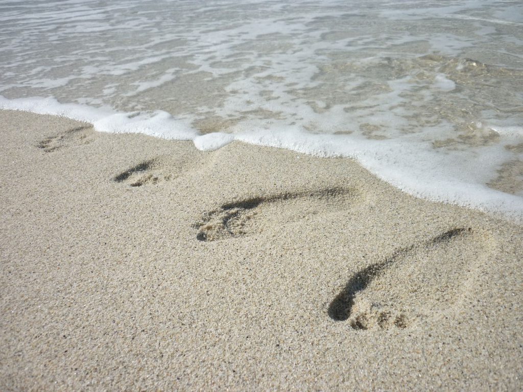 Den Rügen-Urlaub in den eigenen vier Wänden fortsetzen