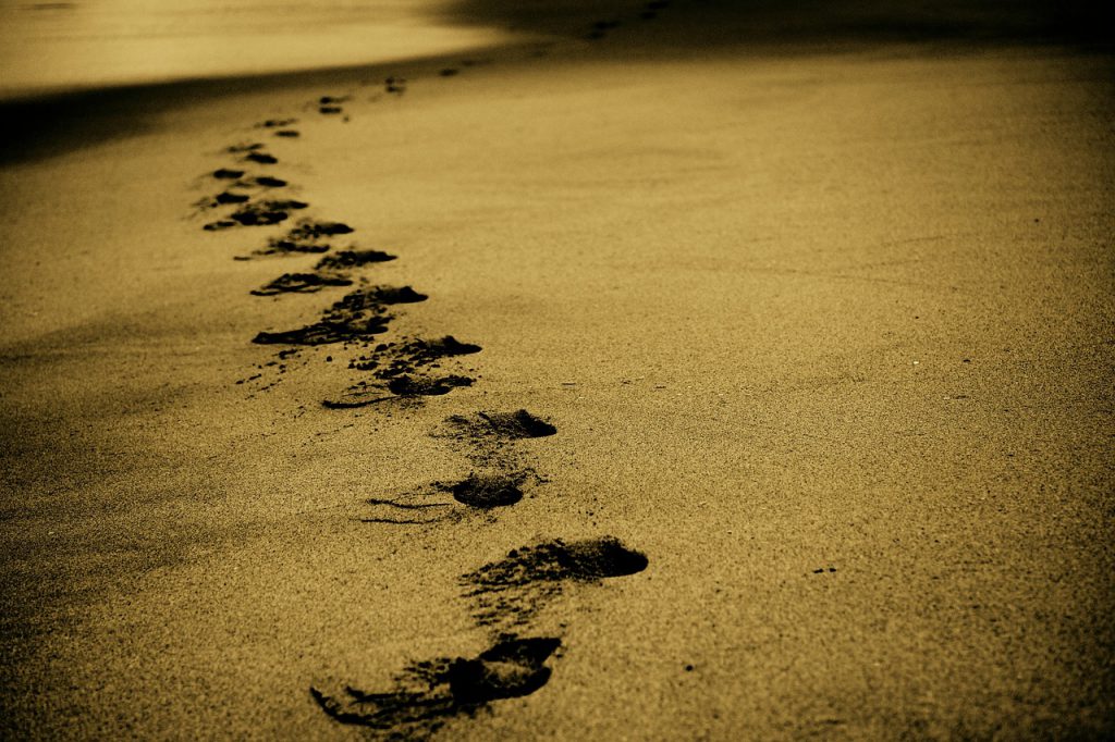 Ein Spaziergang am Meer Bild: Pixabay (CC0)